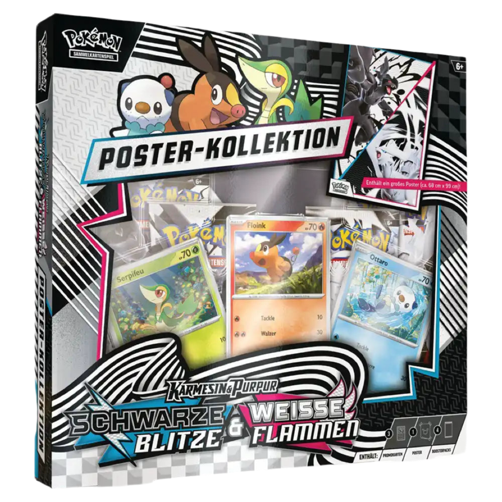 Pokémon Schwarze Bli & Weiße Flam Poster Kollektion Deutsch🇩🇪